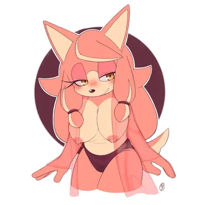 Conductor's wife (sonic) - artwork by innotsu