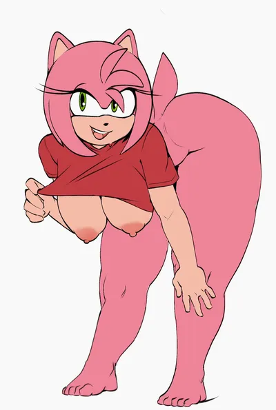 Amy rose — artwork by hater lly