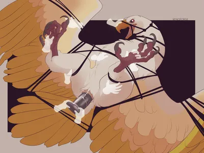 Animal genitalia, bird - artwork by xenoforge