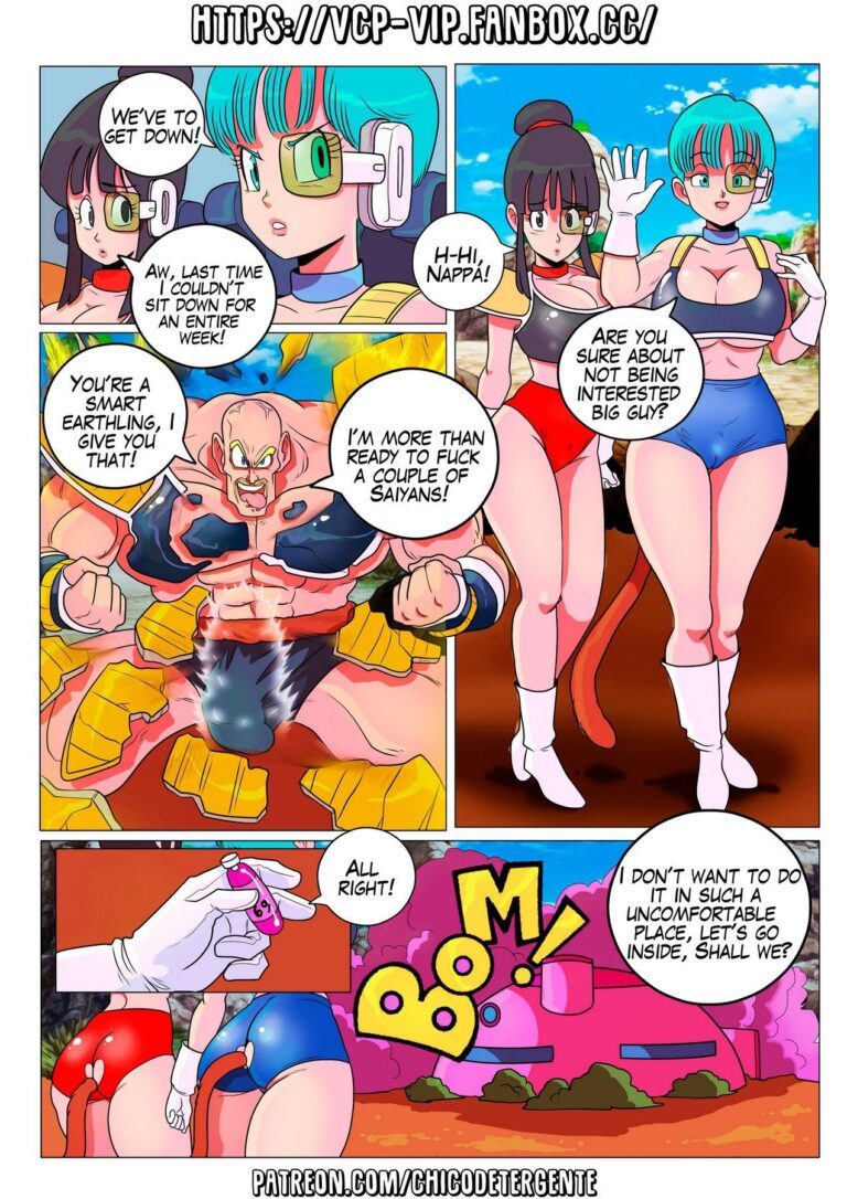 Bulma briefs - artwork by Dtmt5