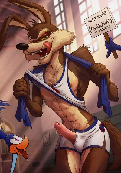 Road runner (looney tunes) - artwork by stanglass
