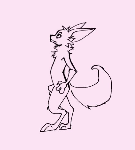 Animal genitalia, animal penis - artwork by ikaro