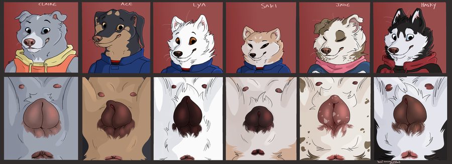 Ace (gthusky), animal genitalia - artwork by gthusky