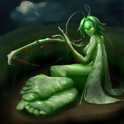 Areola, barefoot - artwork by liwentian
