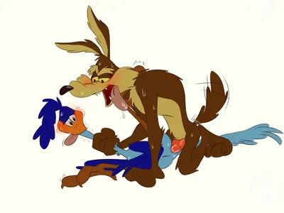 Road runner (looney tunes) - artwork by bot