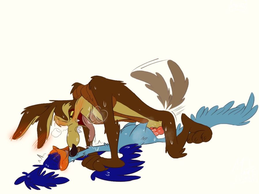 Road runner (looney tunes) - artwork by bot