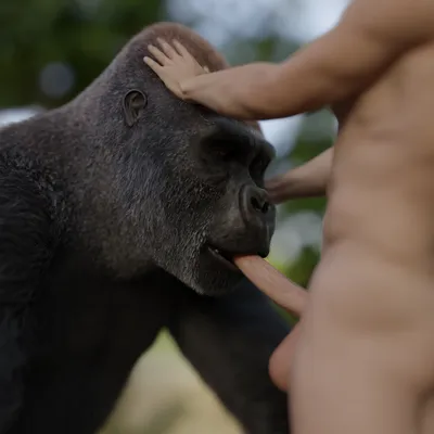 Ambiguous gender, ape - artwork by autlizard