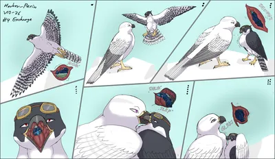 Avian, beak - artwork by bot