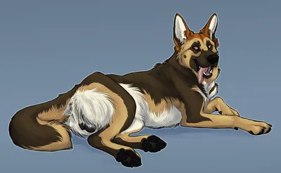 North shepherd - artwork by hybernation