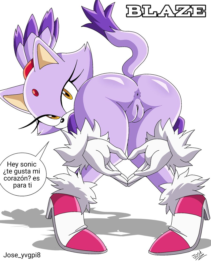 Blaze the cat - artwork by jose yvgpi8