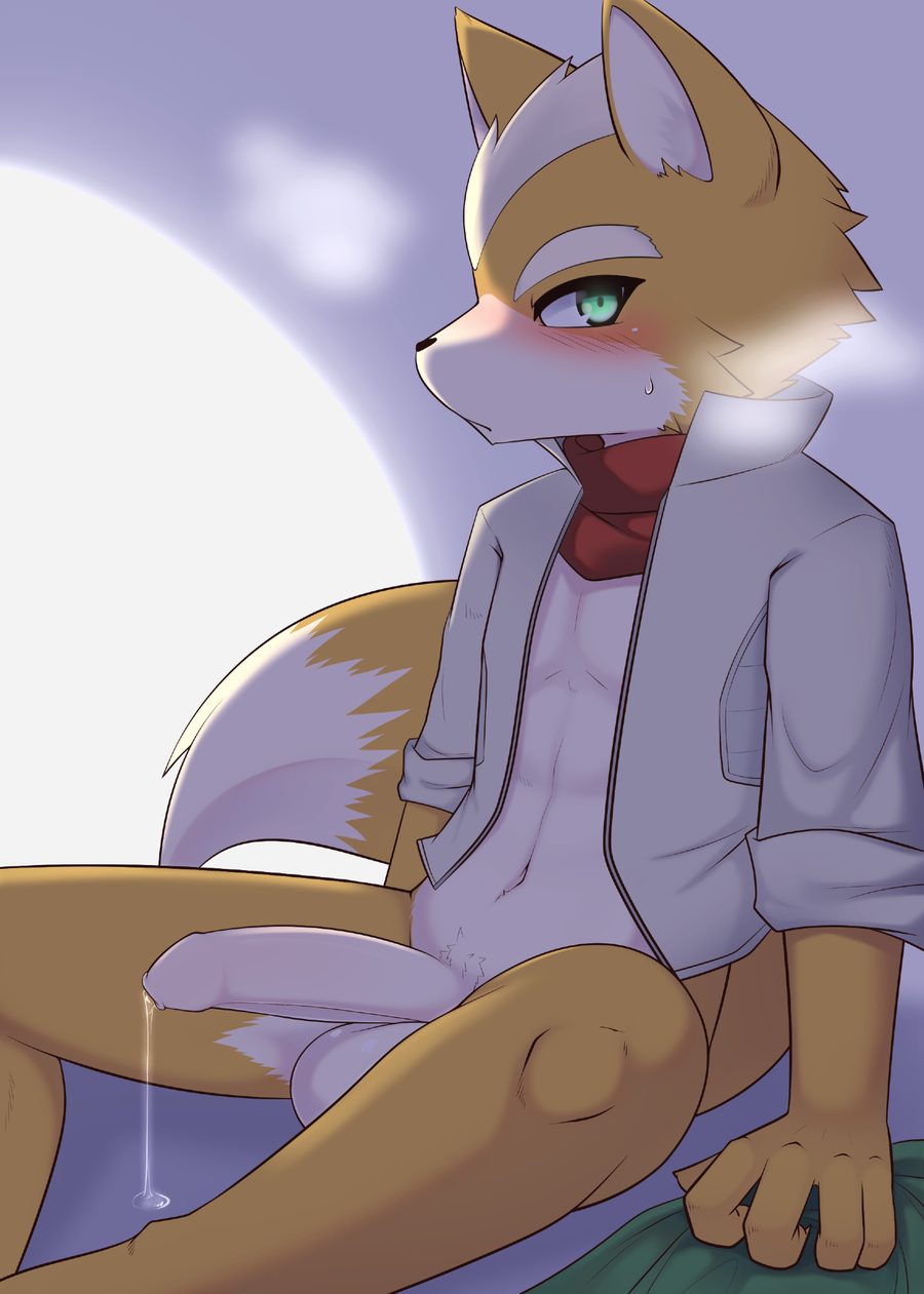Fox mccloud - artwork by hane
