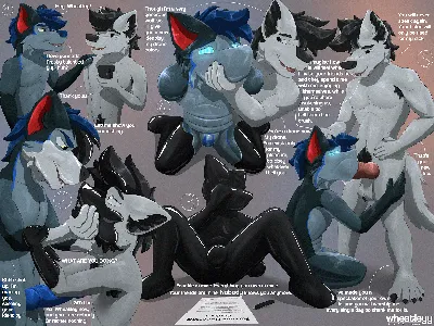 Animal genitalia, animal penis - artwork by wheatleyy
