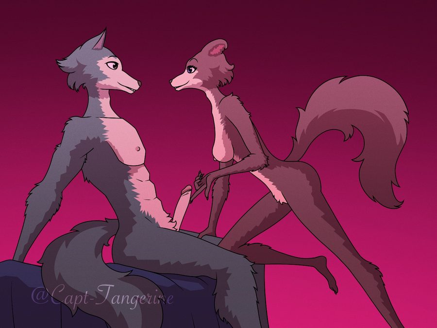 Juno (beastars) - artwork by capt-tangerine